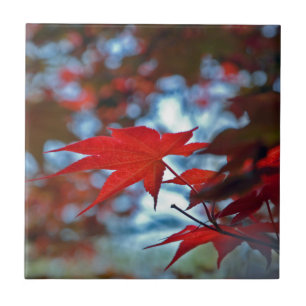 Azulejo EE. UU., Kansas. Colores de otoño