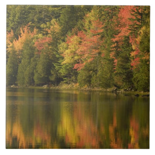Azulejo EE. UU.; Maine; Acadia NP. Reflejos de otoño en