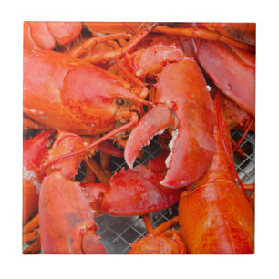 Azulejo EE.UU., Massachusetts, el viñedo de Martha