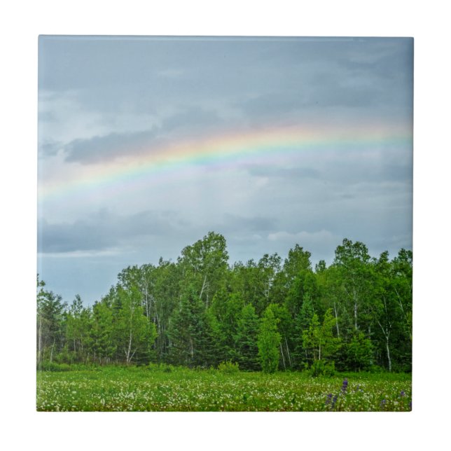 Azulejo EE.UU., Minnesota. Prado verde con flores silvestr (Frente)