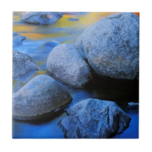 Azulejo EE. UU., New Hampshire, Bosque Nacional White Moun
