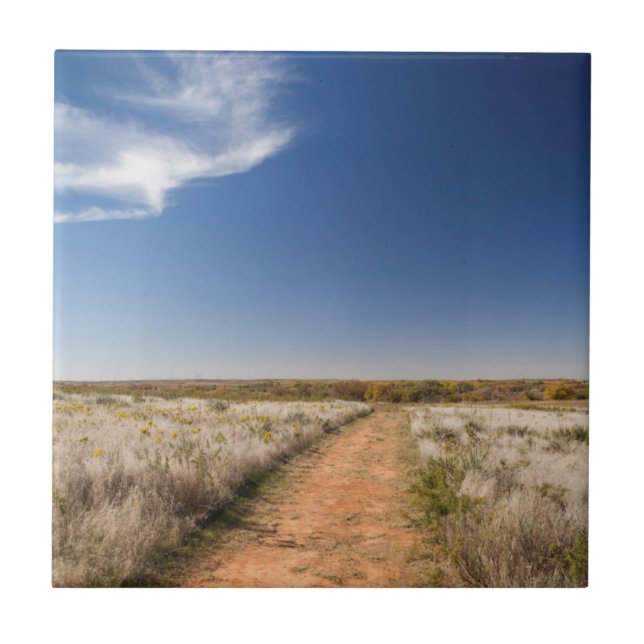 Azulejo EE.UU., Oklahoma, pastizales nacionales de Black K (Frente)