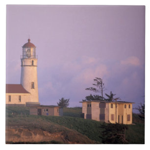 Azulejo EE.UU., Oregón, Región de Port Orford, Cabo Blanco