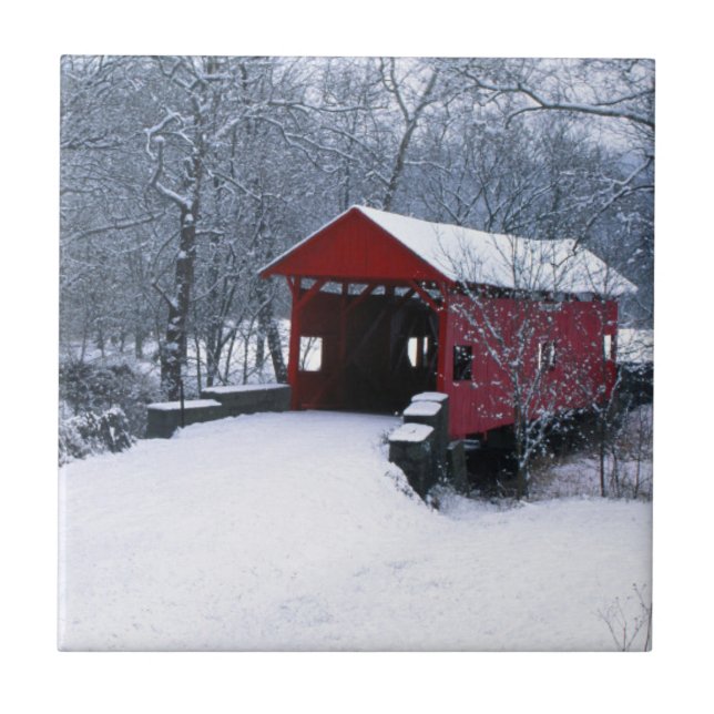 Azulejo EE. UU., Pensilvania, condado de Mariana (Frente)