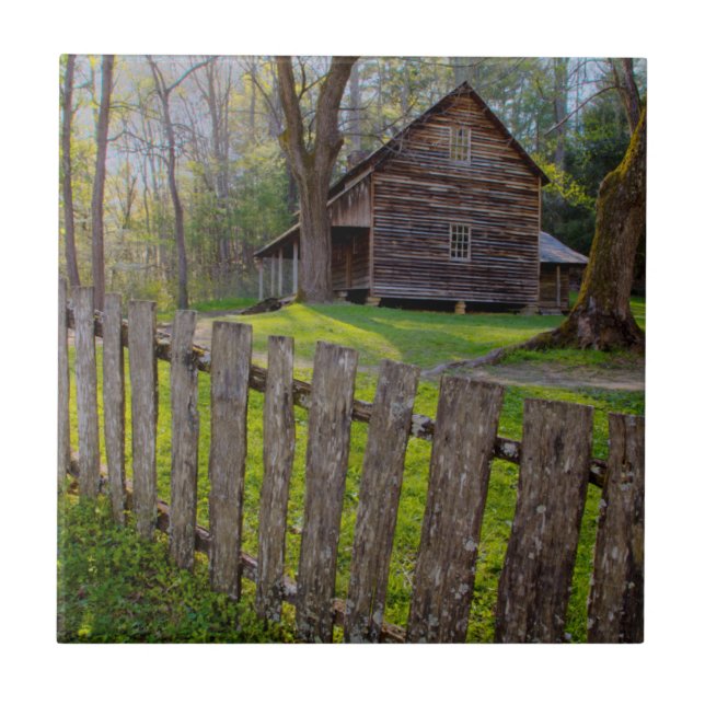 Azulejo EE. UU., Tennessee, Cabaña en Cades Cove (Frente)