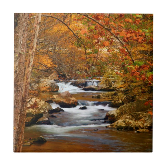 Azulejo EE. UU., Tennessee. Rushing Mountain Creek (Frente)