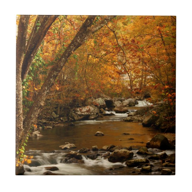 Azulejo EE. UU., Tennessee. Rushing Mountain Creek 3 (Frente)