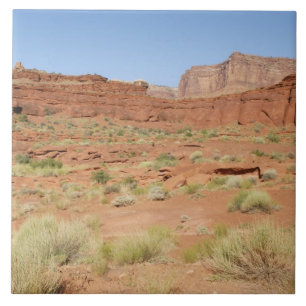 Azulejo EE.UU., Utah, Canyonlands NP, Cañón Shafer
