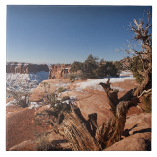 Azulejo EE. UU., Utah, Moab. Parque Nacional Canyonlands,