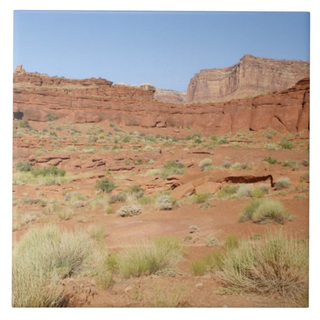 Azulejo EE. UU., Utah, Parque Nacional Canyonlands, Shafer (Frente)