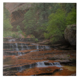 Azulejo EE. UU., Utah, Parque Nacional Zion. Escénico desd