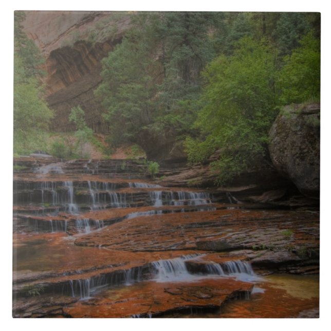 Azulejo EE. UU., Utah, Parque Nacional Zion. Escénico desd (Frente)