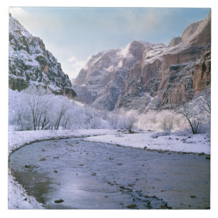 Azulejo EE. UU., Utah, Zion NP. Nieve nueva cubre el cañón