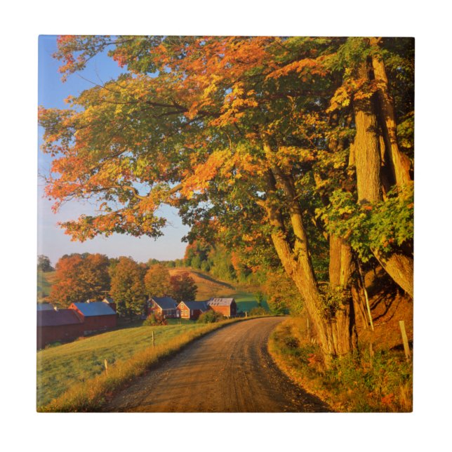 Azulejo EE.UU., Vermont, South Woodstock (Frente)