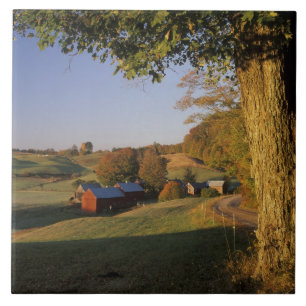Azulejo EE. UU., Vermont, sur de Woodstock, Jenne Farm en