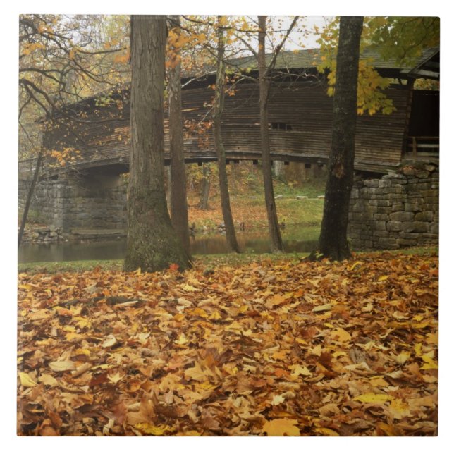 Azulejo EE.UU., Virginia, Covington, Humpback Covered (Frente)