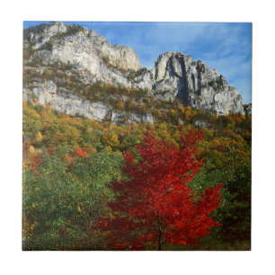 Azulejo EE. UU., Virginia Occidental, Spruce Knob-Seneca R