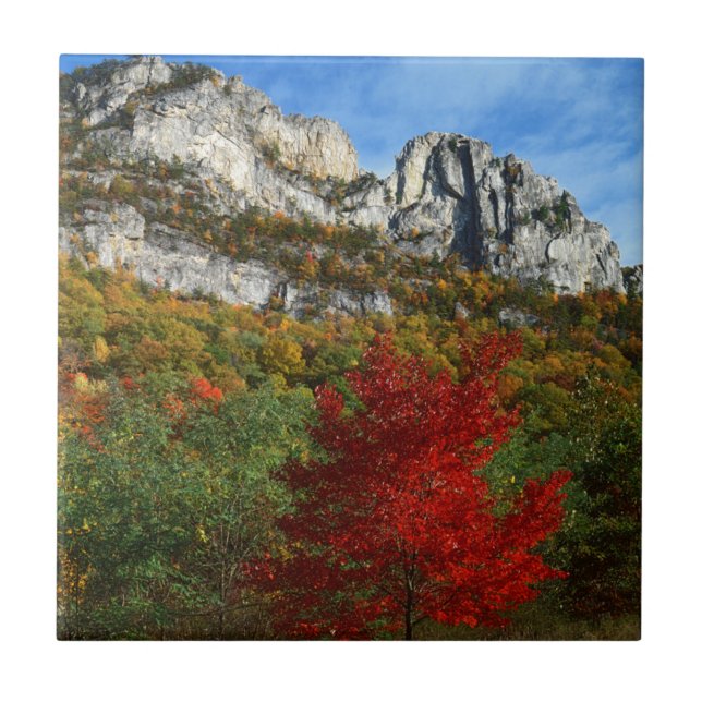 Azulejo EE. UU., Virginia Occidental, Spruce Knob-Seneca R (Frente)