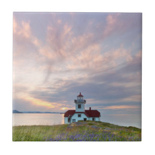 Azulejo EE. UU., Washington, Islas San Juan. Atardecer