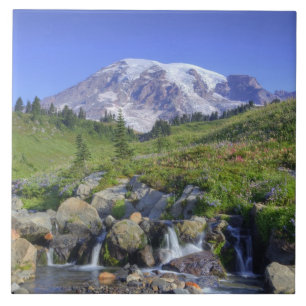 Azulejo EE. UU., Washington, Mt. Rainier NP, Mt. Rainier y