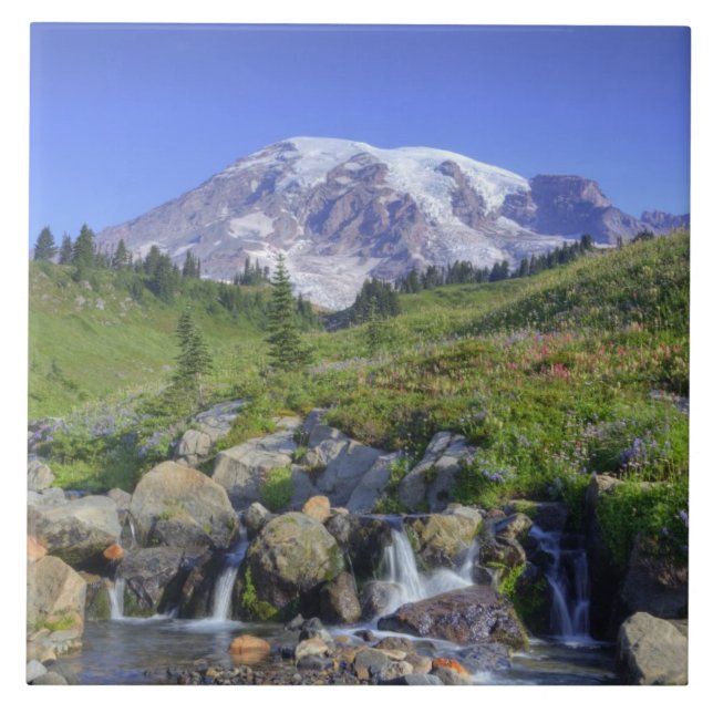 Azulejo EE. UU., Washington, Mt. Rainier NP, Mt. Rainier y (Frente)