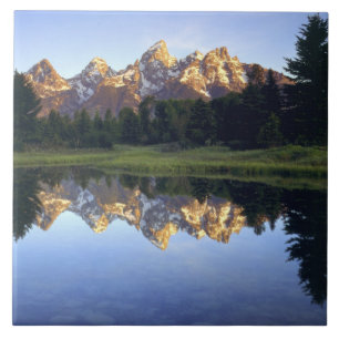 Azulejo EE. UU., Wyoming, Parque Nacional Grand Teton. Gra