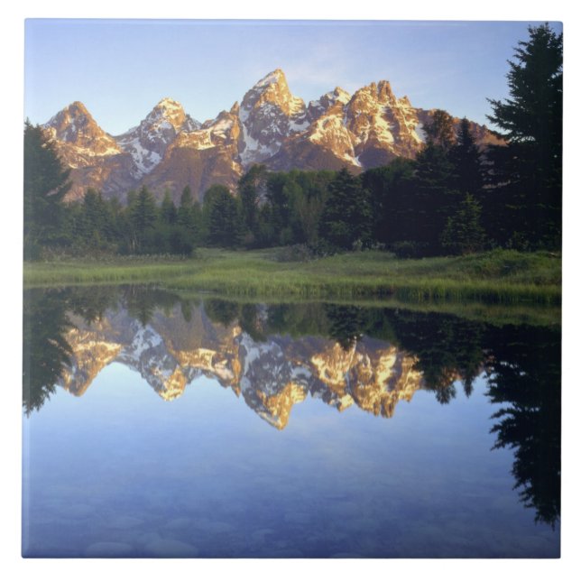 Azulejo EE. UU., Wyoming, Parque Nacional Grand Teton. Gra (Frente)