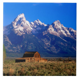Azulejo EE. UU., Wyoming, Parque Nacional Grand Teton, Mañ