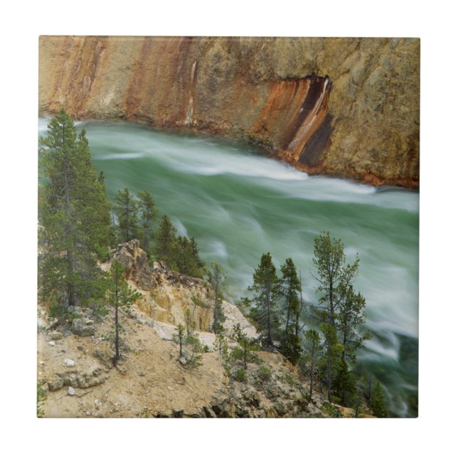 Azulejo EE.UU., Wyoming, Parque Nacional Yellowstone (Frente)