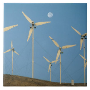 Azulejo EEUU, California, Altamont Pass, generadores eóli