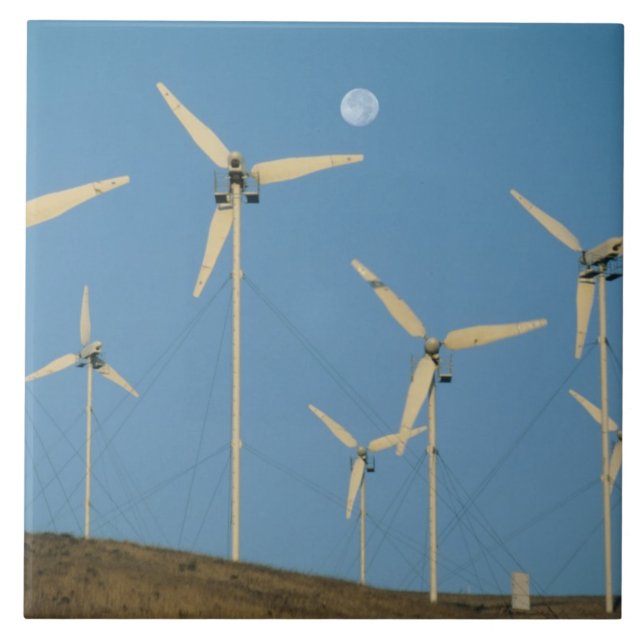 Azulejo EEUU, California, Altamont Pass, generadores eólic (Frente)