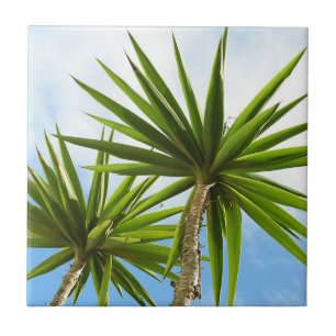 Azulejo Efecto de pintura de hojas de palma de yuca tropic