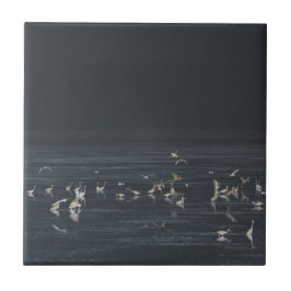 Azulejo Egrets En El Océano Azul Medianoche