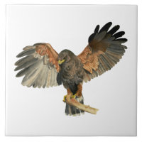 El aleteo del halcón se va volando la pintura de