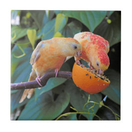 Azulejo El amor está compartiendo: Paracaídas de cocina tu