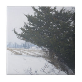 Azulejo "El arte de la agricultura"