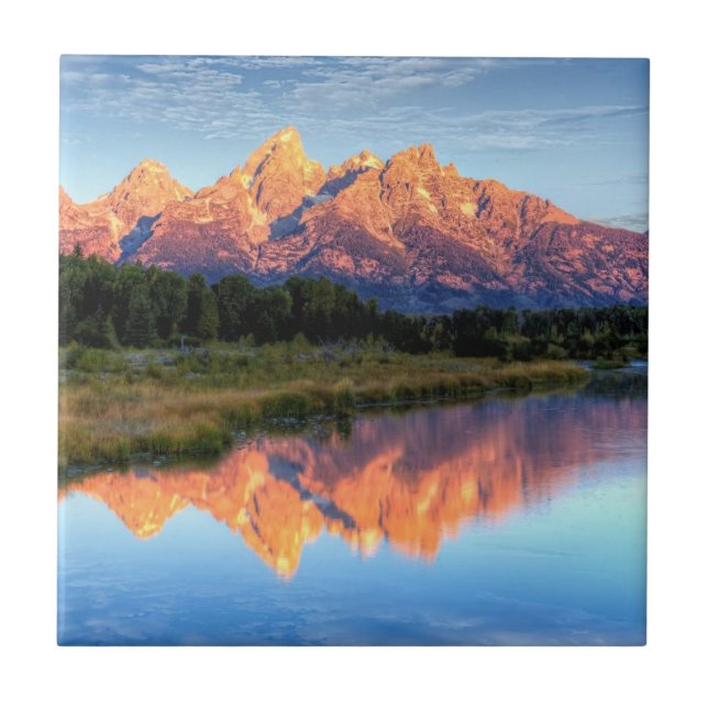 Azulejo El aterrizaje de Schwabacher (Frente)