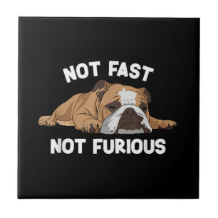 Azulejo El Bulldog inglés durmiendo no es rápido, no es cu
