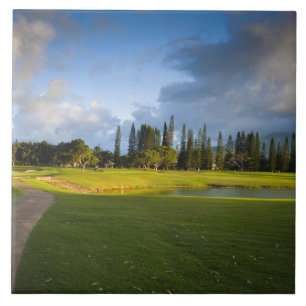 Azulejo El campo de golf Makai en Princeville