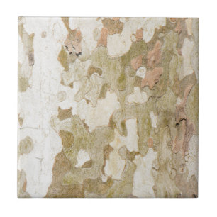 Azulejo El camuflaje del árbol del avión parece un patrón