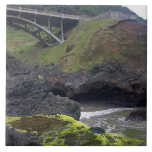 Azulejo El caos de Coco, Cabo Perpetua, OR