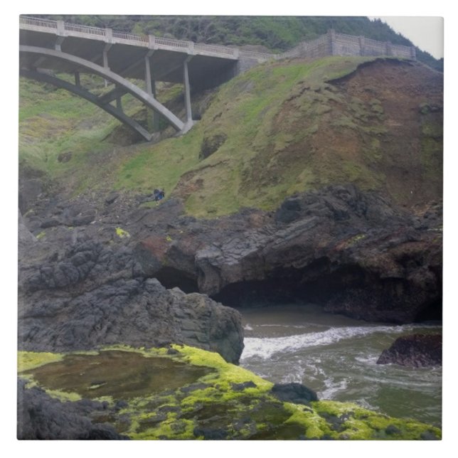 Azulejo El caos de Coco, Cabo Perpetua, OR (Frente)