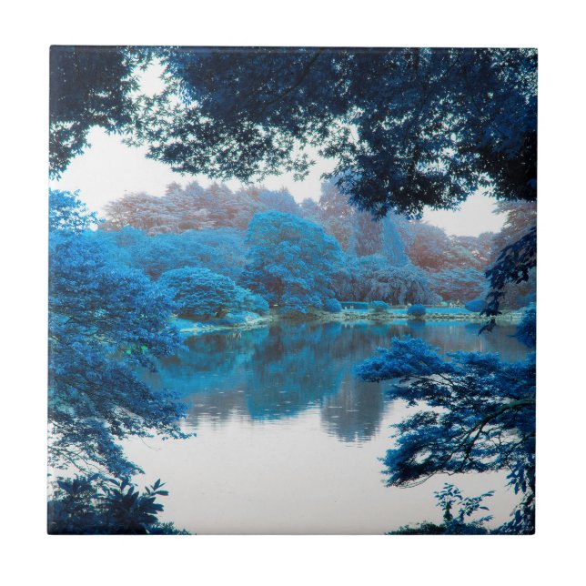 Azulejo El color azul efectuó la naturaleza fresca, única, (Frente)