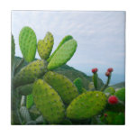 Azulejo El Desierto Suculento Del Cactus Del Suroeste<br><div class="desc">Este diseño fue creado a través del arte digital. Se puede personalizar haciendo clic en el botón personalizar y cambiando el color, agregando un nombre, iniciales o tus palabras favoritas. Contáctame en colorflowcreations@gmail.com si quieres tener este diseño en otro producto. Compra mi pintura de acrílico abstracta original a la venta...</div>
