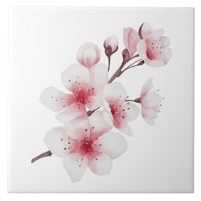 Azulejo El diseño de la serie Okinawa 30 (Frente)