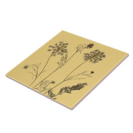 Azulejo El encaje de la Reina Ana sobre una tela cerámica 