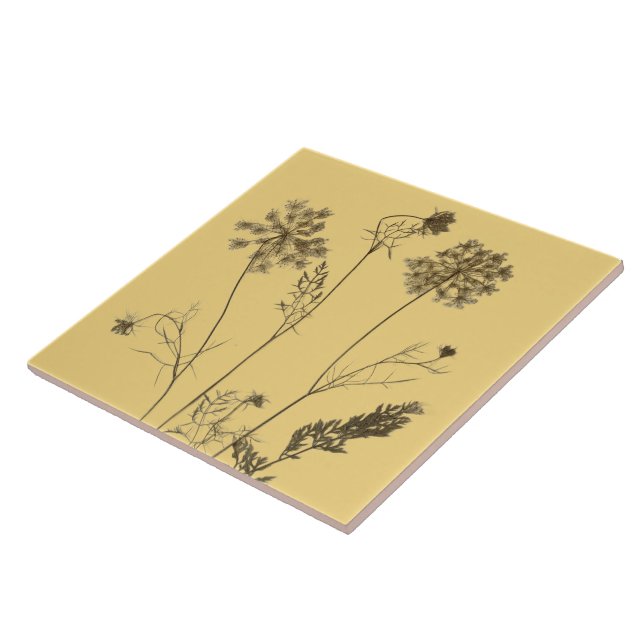 Azulejo El encaje de la Reina Ana sobre una tela cerámica  (Lado)