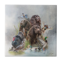 Azulejo El español Boykin