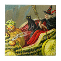 El gato negro y la bruja de Halloween