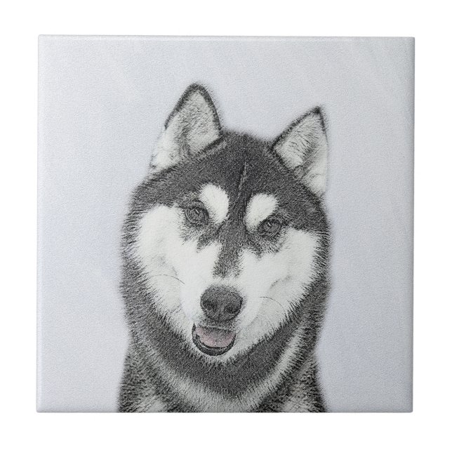 Azulejo El Husky Siberiano (blanco y negro) pinta arte de  (Frente)